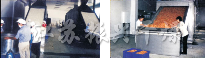 DW多層帶式（shì）幹燥機