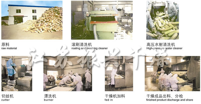 DWC係（xì）列脫（tuō）水蔬菜帶式幹燥機