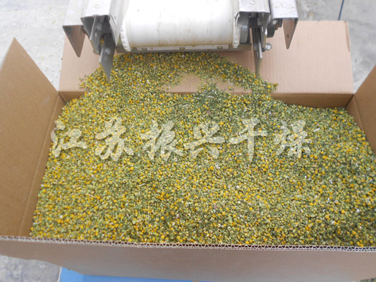 帶式幹（gàn）燥機