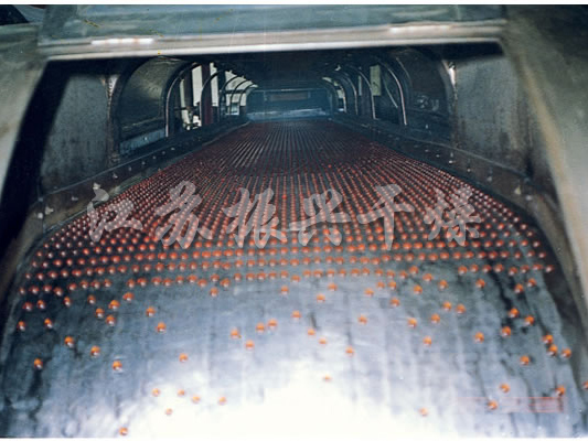 RL係列熔融造粒機